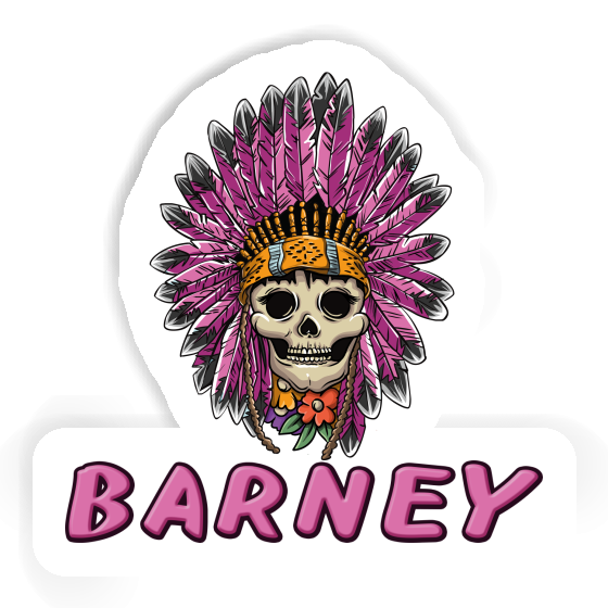 Ladys Skull Sticker Barney Gift package Image