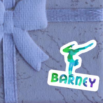 Sticker Yoga Woman Barney Gift package Image