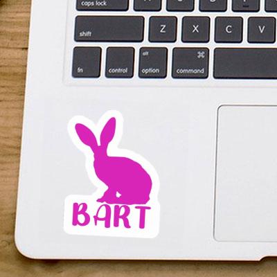 Sticker Rabbit Bart Gift package Image