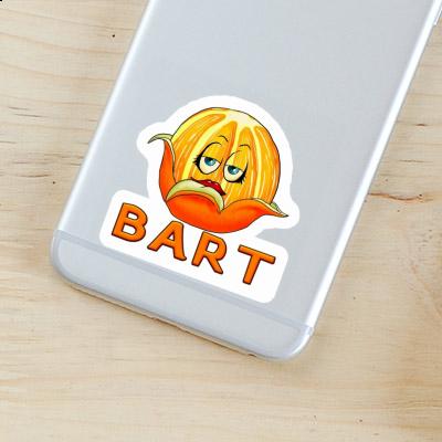 Orange Sticker Bart Notebook Orange Sticker Bart Gift package Image