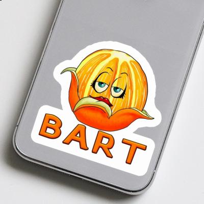 Autocollant Bart Orange Notebook Autocollant Bart Orange Gift package Image