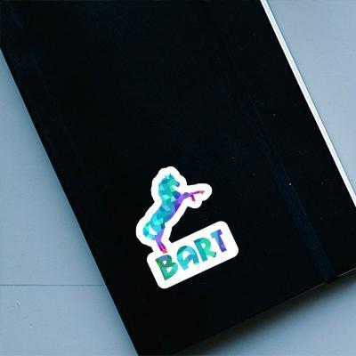 Sticker Bart Horse Gift package Image