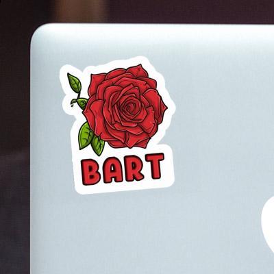Aufkleber Rose Bart Laptop Image