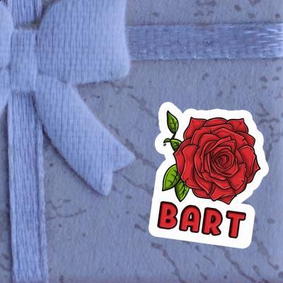 Aufkleber Rose Bart Notebook Image