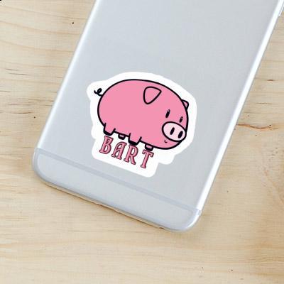 Bart Autocollant Cochon Gift package Image