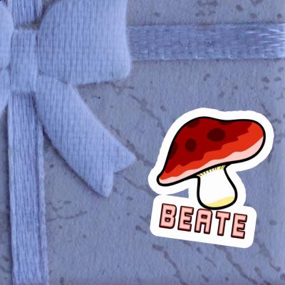 Sticker Fungal Beate Notebook Sticker Fungal Beate Gift package Image