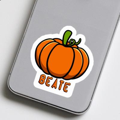 Sticker Beate Kürbis Laptop Image