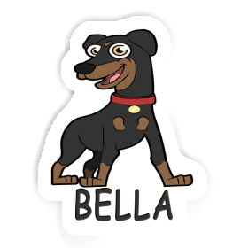 Sticker Pinscher Bella Image