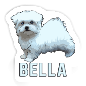 Sticker Maltese Dog Bella Image