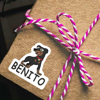 Sticker German Pinscher Benito Notebook Sticker German Pinscher Benito Gift package Image