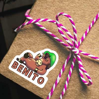 Lying horse Sticker Benito Notebook Lying horse Sticker Benito Gift package Image