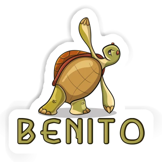 Autocollant Tortue Benito Gift package Image