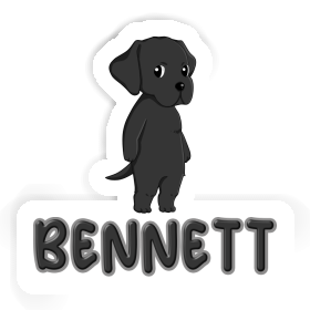 Sticker Labrador Retriever Bennett Image