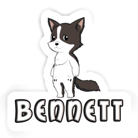 Border Collie Sticker Bennett Image