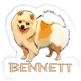 German Spitz Sticker Bennett Image