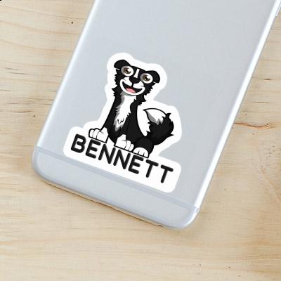 Sticker Collie Bennett Gift package Image