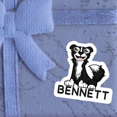 Sticker Collie Bennett Laptop Image