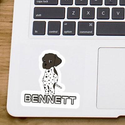 Sticker German Shorthaired Pointer Bennett Laptop Image