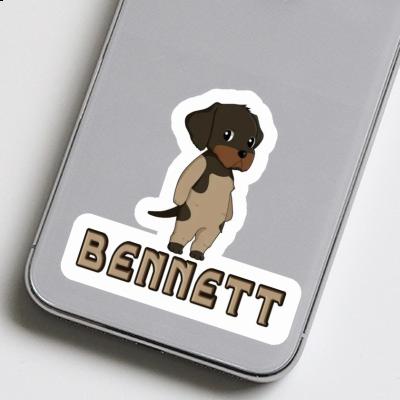 Autocollant Bennett Chien d'arrêt allemand à poil du Gift package Image