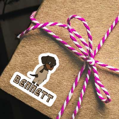 Bennett Sticker German Wirehaired Gift package Image