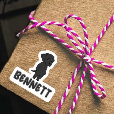 Sticker Labrador Retriever Bennett Gift package Image