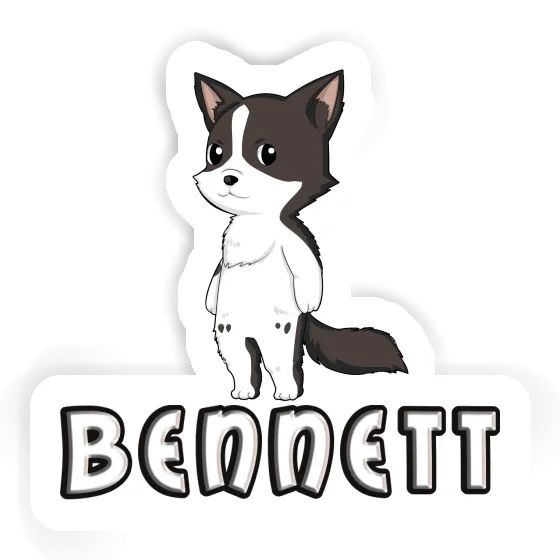 Autocollant Bennett Collie border Gift package Image