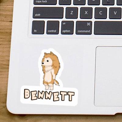 Bennett Sticker Collie Laptop Image