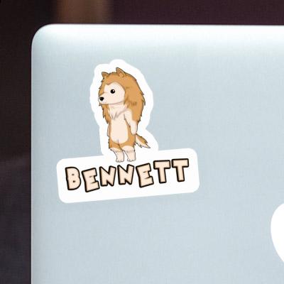 Bennett Sticker Collie Image