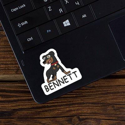 Sticker Bennett German Pinscher Image