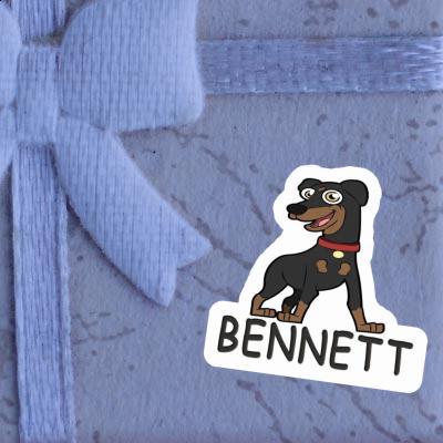 Sticker Bennett German Pinscher Gift package Image