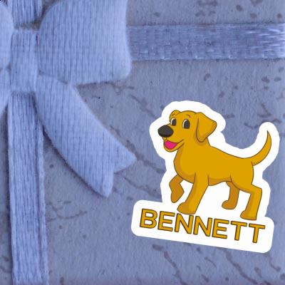 Sticker Bennett Labrador Laptop Image