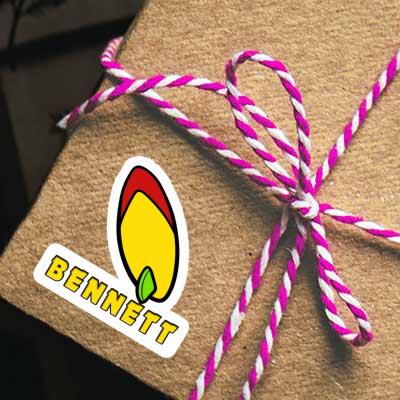 Bennett Sticker Surfboard Gift package Image