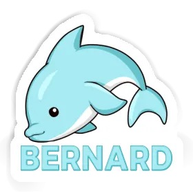 Sticker Dolphin Bernard Image
