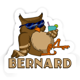 Cool Owl Sticker Bernard Image