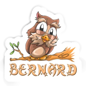 Sticker Owl Bernard Image