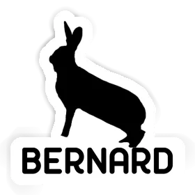 Sticker Rabbit Bernard Image