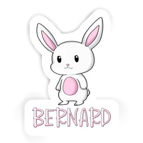 Sticker Bernard Hare Image