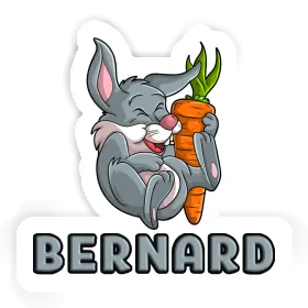 Bernard Sticker Hare Image