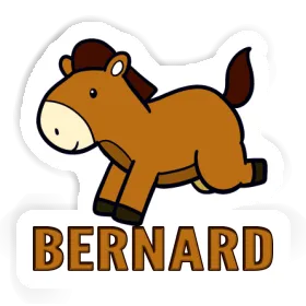 Sticker Horse Bernard Image