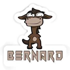 Sticker Bernard Horse Image