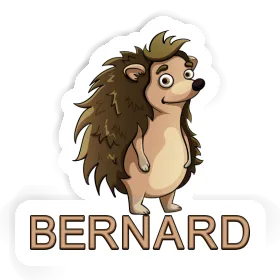 Hedgehog Sticker Bernard Image