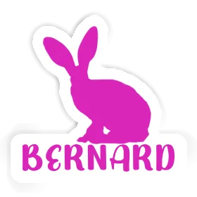 Rabbit Sticker Bernard Image