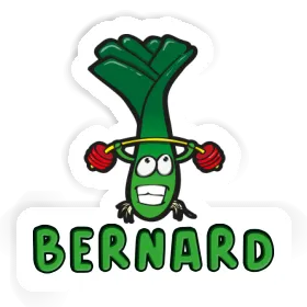 Aufkleber Bernard Lauch Image