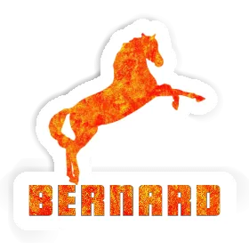 Horse Sticker Bernard Image