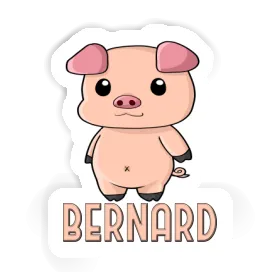 Sticker Bernard Piglet Image