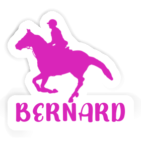 Horse Rider Sticker Bernard Image