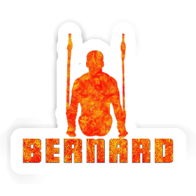 Sticker Bernard Ring gymnast Image