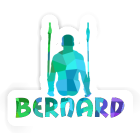Sticker Ring gymnast Bernard Image