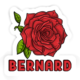 Sticker Rose Bernard Image