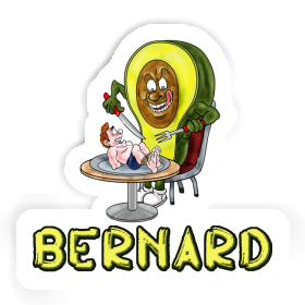 Bernard Sticker Avocado Image